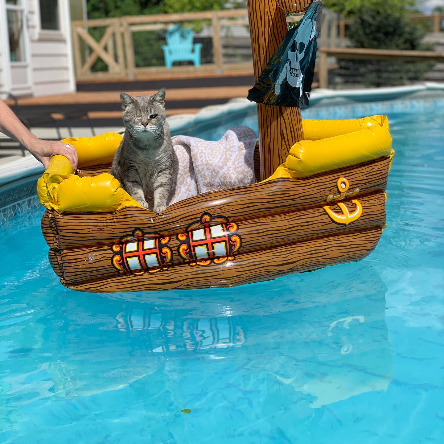 Pirate_cat_on_the_water